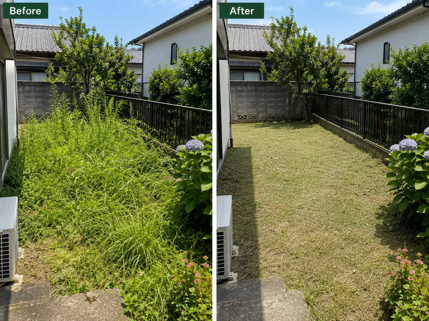 草刈り Before After